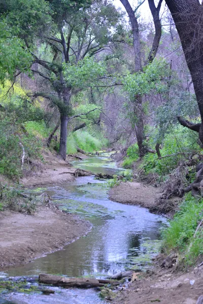 DSC_6258 (Large).JPG